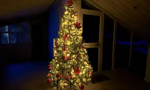 Albero di Natale addobbato con luci calde, palline rosse e dorate, e fiocchi. Un esempio di come mettere le luci sull'albero di natale per creare un'atmosfera magica.