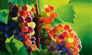 Grappoli d'uva dipinti con vivaci colori primari, che sembrano esplodere di luce e tonalità.