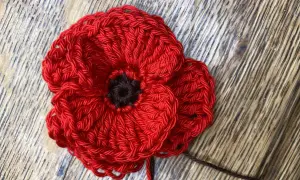 Un papavero rosso all'uncinetto, perfetto per un tutorial uncinetto.