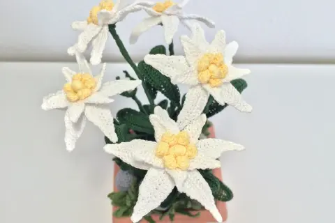 Un mazzo di stelle alpine all'uncinetto, un disegno facile per creare fiori di montagna.