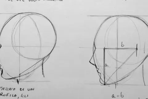 Disegno dal vero di profili di testa, con linee guida e proporzioni indicate.