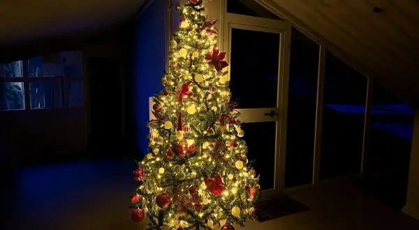 Albero di Natale addobbato con luci calde, palline rosse e dorate, e fiocchi. Un esempio di come mettere le luci sull'albero di natale per creare un'atmosfera magica.