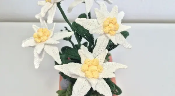 Un mazzo di stelle alpine all'uncinetto, un disegno facile per creare fiori di montagna.