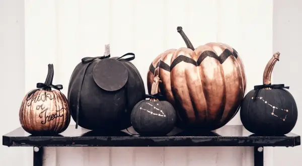 Cinque zucche decorate per Halloween: una colorata con "Trick or Treat", una grande color bronzo, e tre nere con disegni di costellazioni.