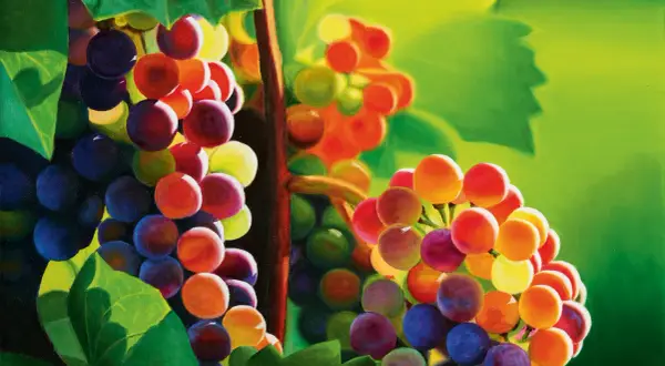 Grappoli d'uva dipinti con vivaci colori primari, che sembrano esplodere di luce e tonalità.