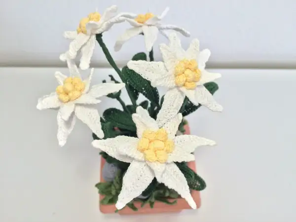 Un mazzo di stelle alpine all'uncinetto, un disegno facile per creare fiori di montagna.